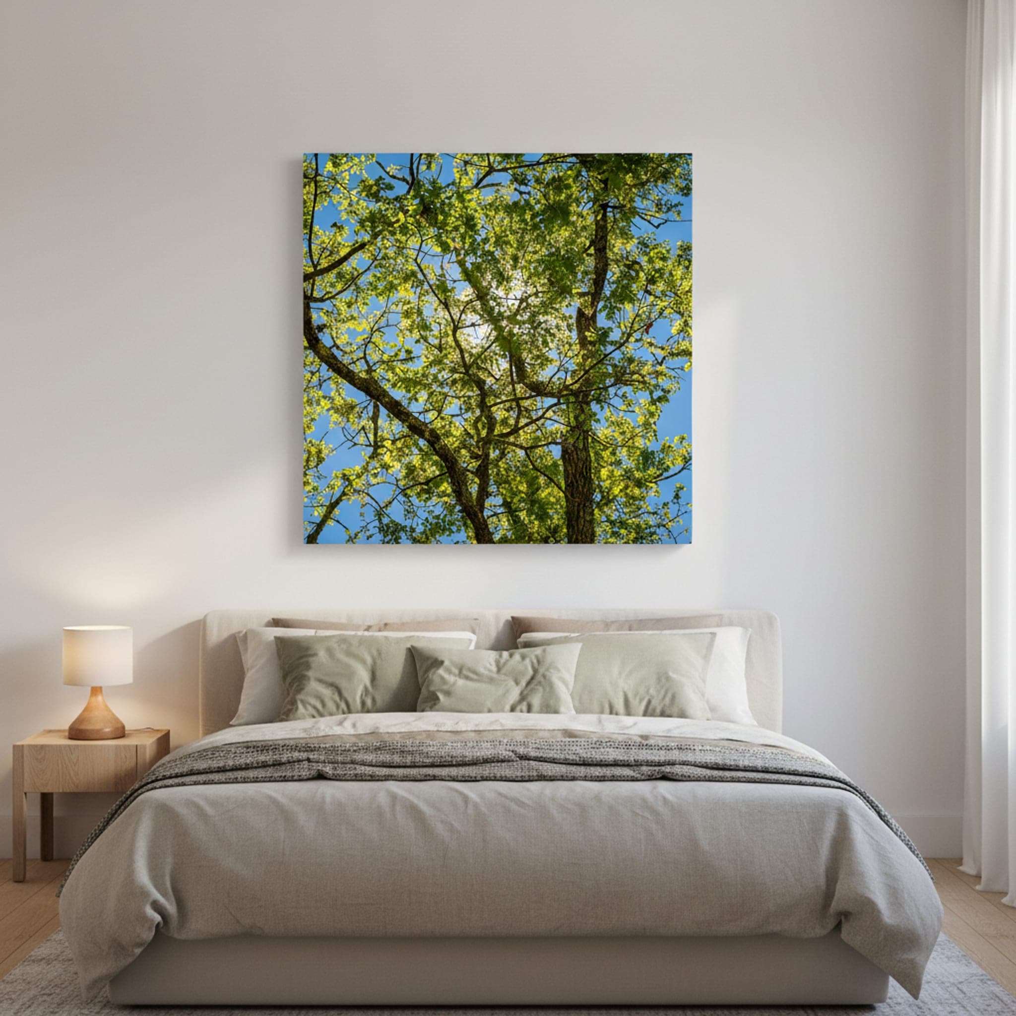 Spring Canopy Sunlight shown as a canvas print in a styled interior, view 1 of 3
