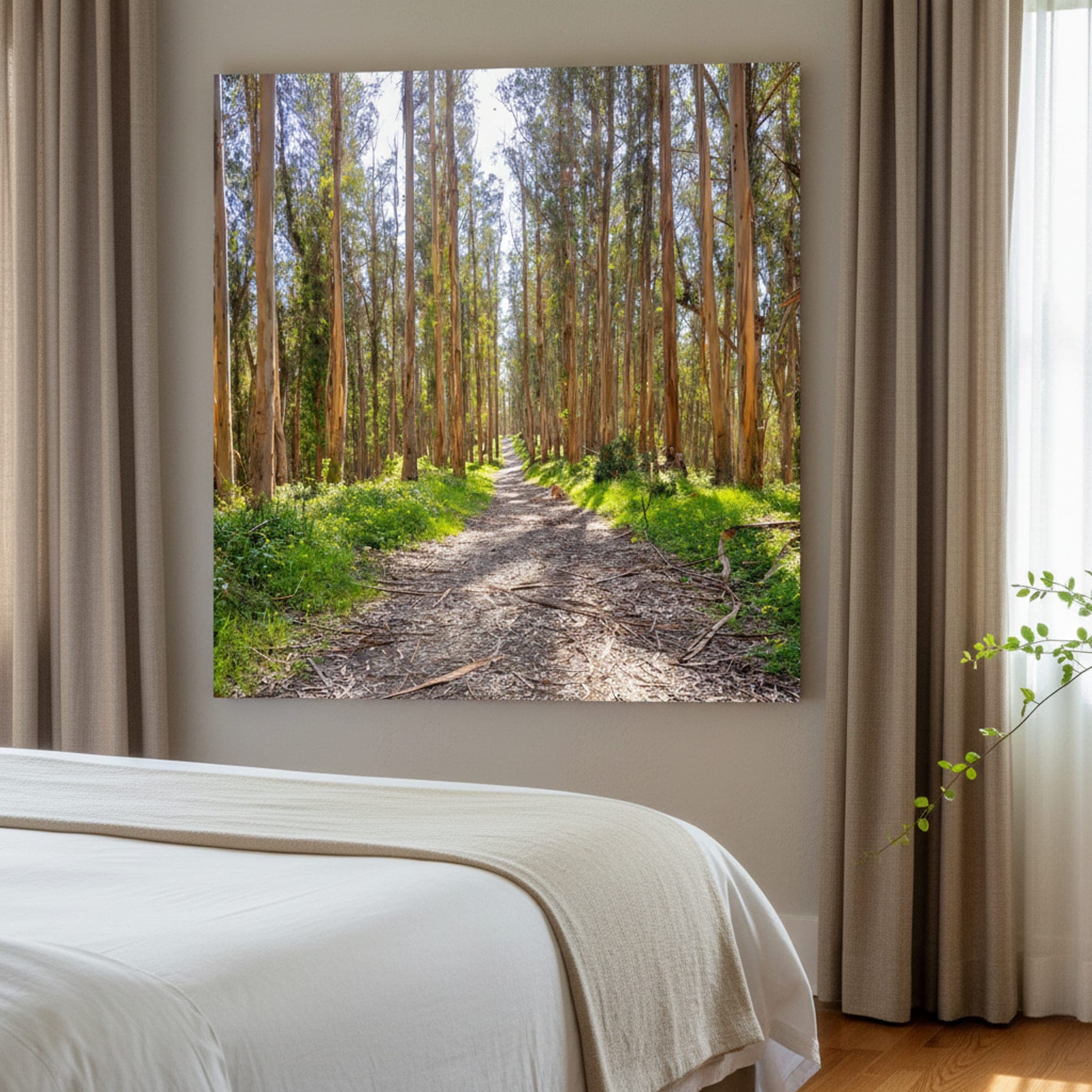 Eucalyptus Trail Serenity shown as a canvas print in a styled interior, view 3 of 3